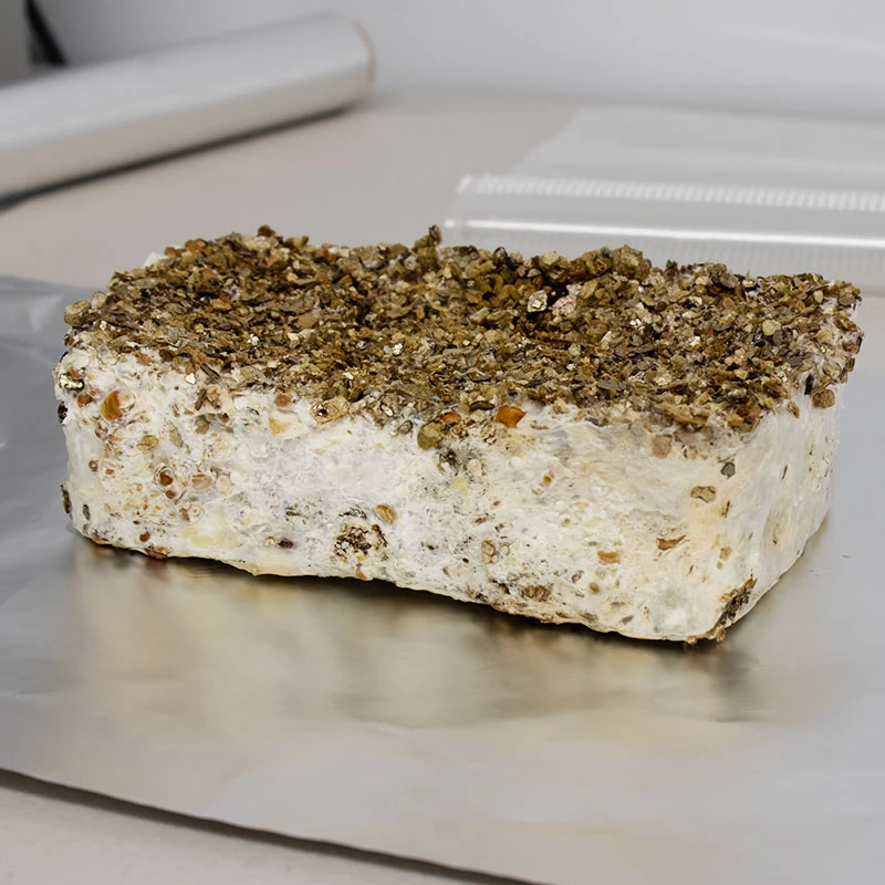 A colonised substrate block lifted out of its tub, solid white mycelium below a layer of dark casing