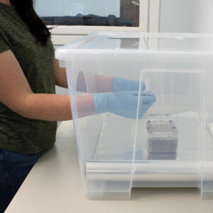 Standing working at SAB