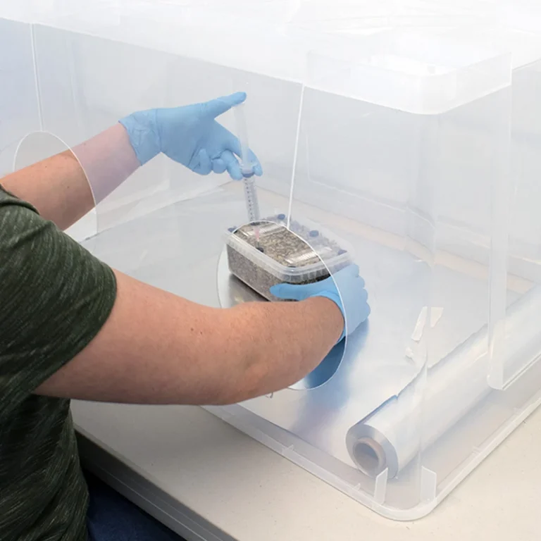 Inoculating a MykoBox inside a Still-Air Box (SAB)