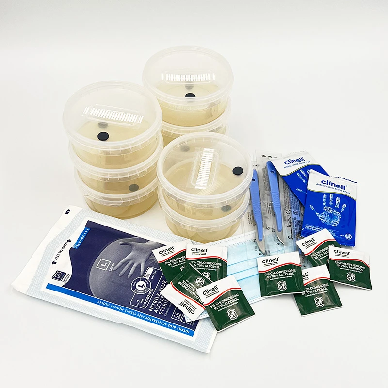 AgarPots kit contents laid out: four agar pots, face mask, gloves, wipes and scalpel