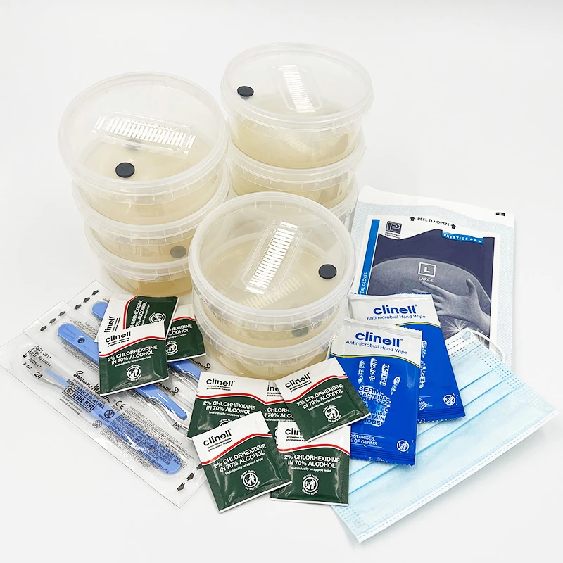 AgarPots kit: four sealed pots of set agar with sterile wipes, gloves and a scalpel