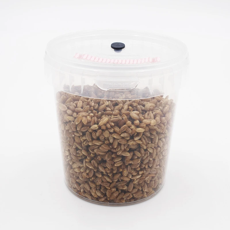 A SpawnTub of rye grain: a clear tub of pale kernels with a black port and pink filter in the lid