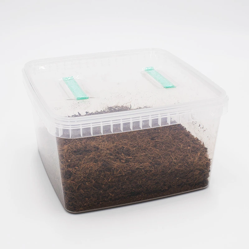 A MonoBox substrate tub: clear tub of dark coir with two green tabs on the lid
