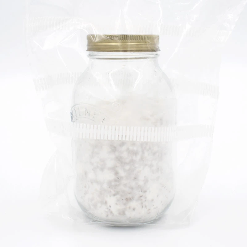 A glass jar of grain colonised with white mycelium, sealed with a gold lid and filter band