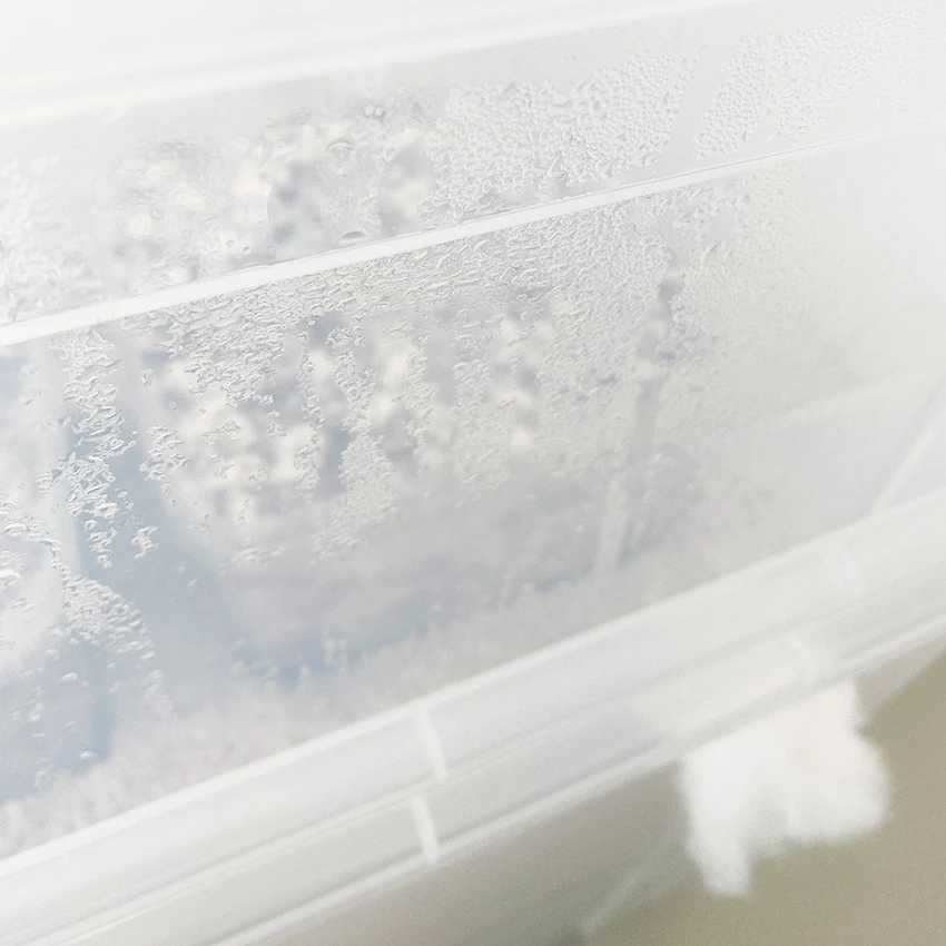 Condensation on the inside of the CyLab incubator with colonising white mycelium visible behind