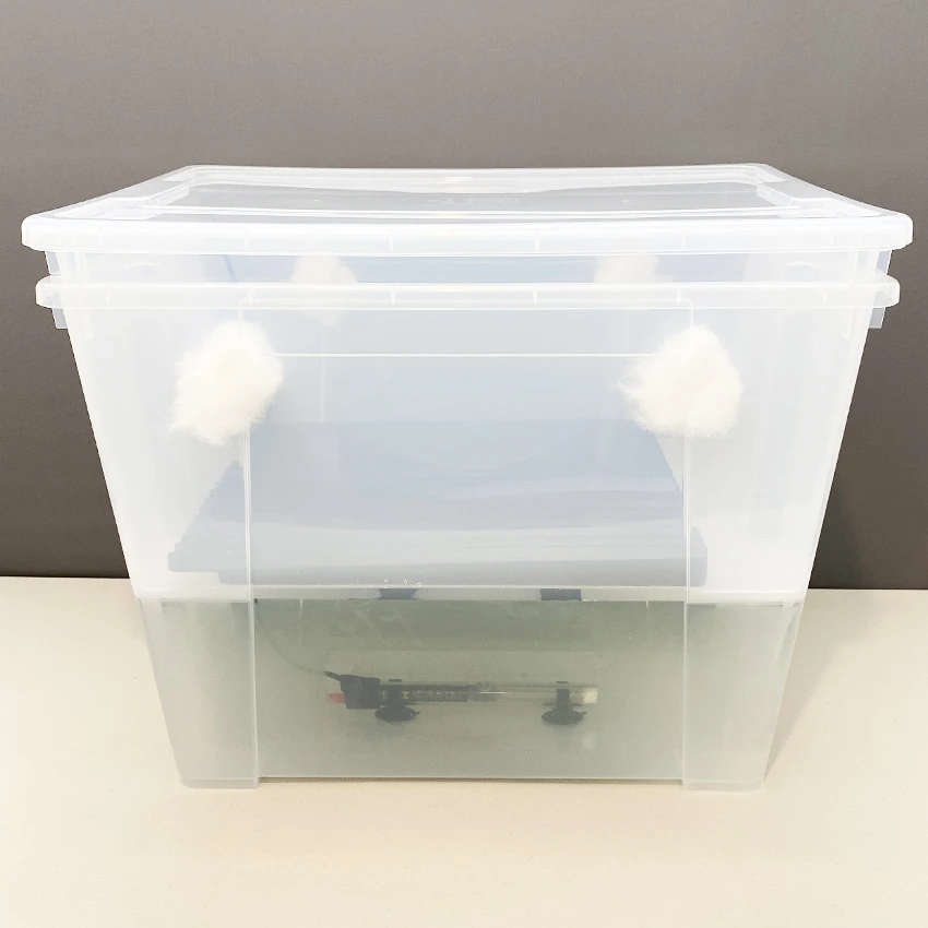 The CyLab incubator: a clear tub with cotton wool filter plugs and a heater in the water below