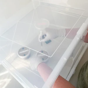 Inoculating MycoPots inside a Still-Air Box (SAB)