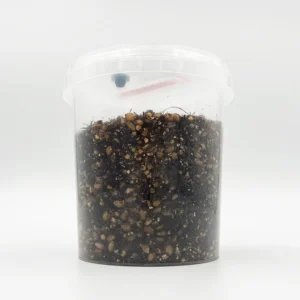 A Halloween special grow kit: a clear tub two thirds full of dark grain substrate with a filter lid
