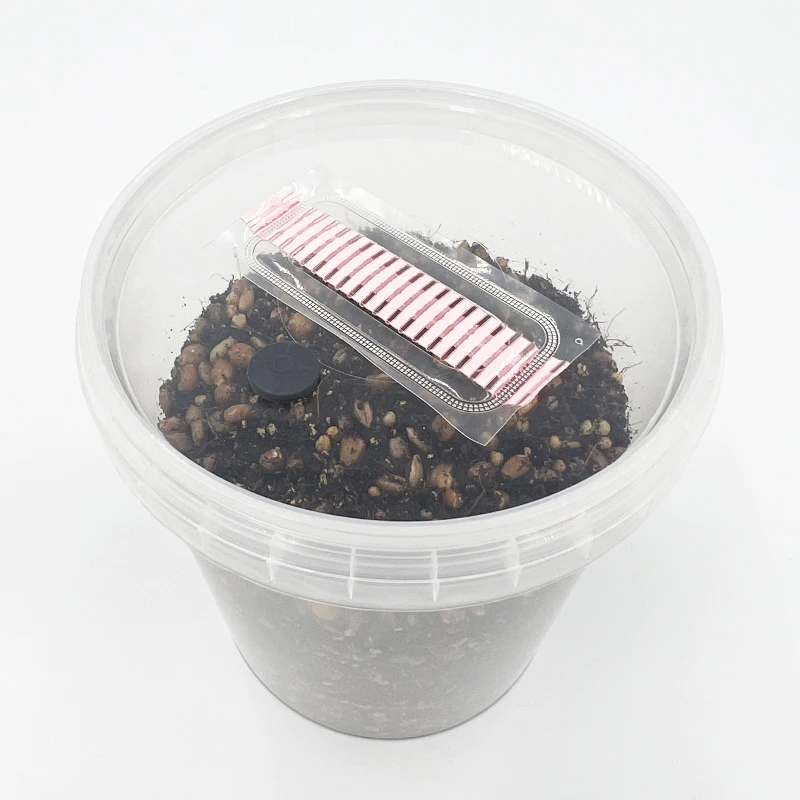 cylotub with filter and port in lid
