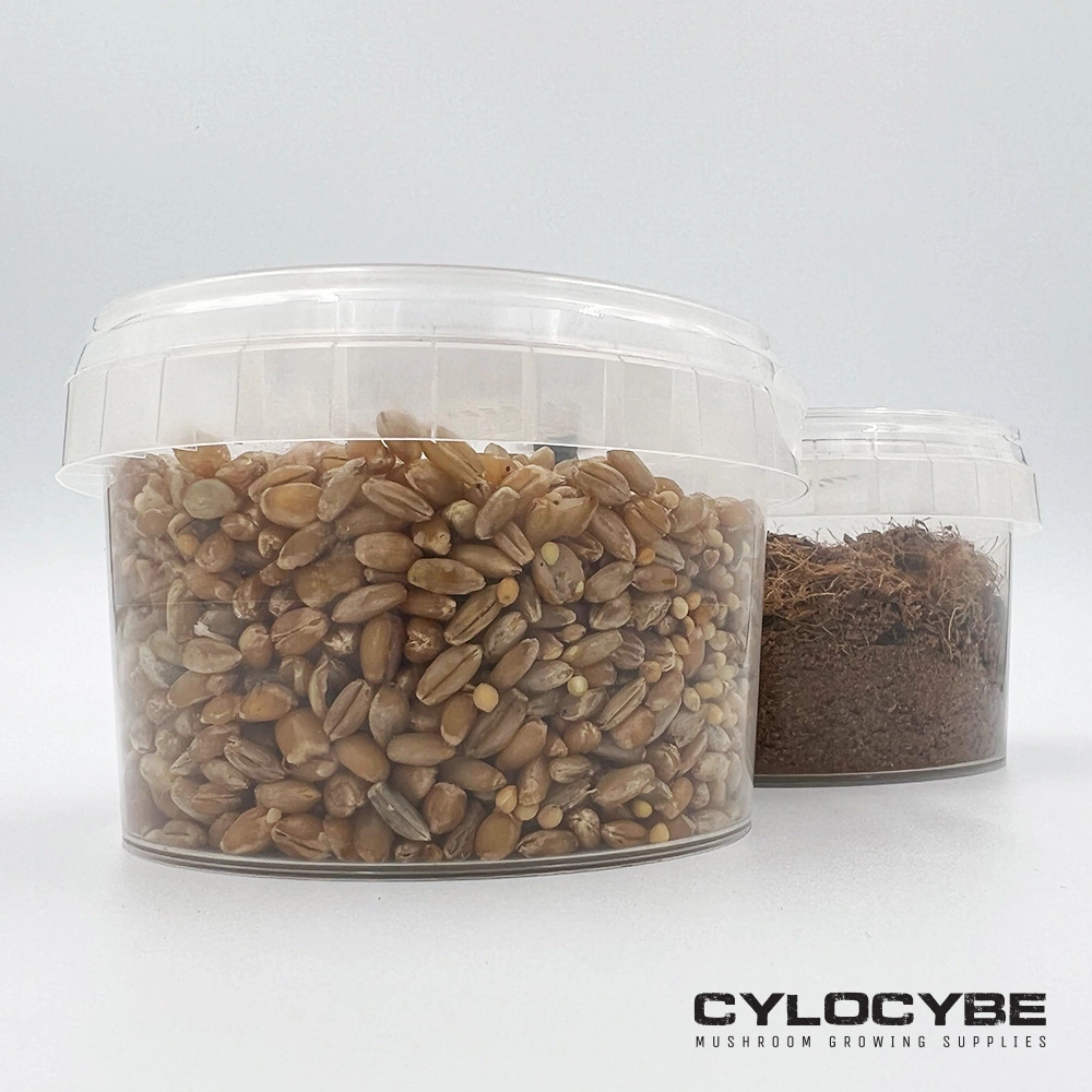 Two MiNO kit tubs, one of rye grain and one of dark coir, lids fitted