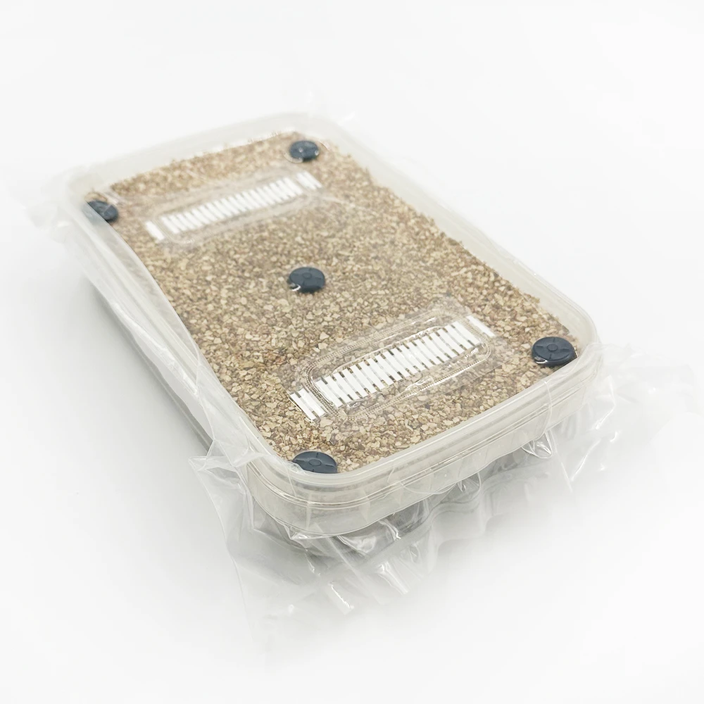 A sealed MycDrop grow kit wrapped in clear film ready for dispatch