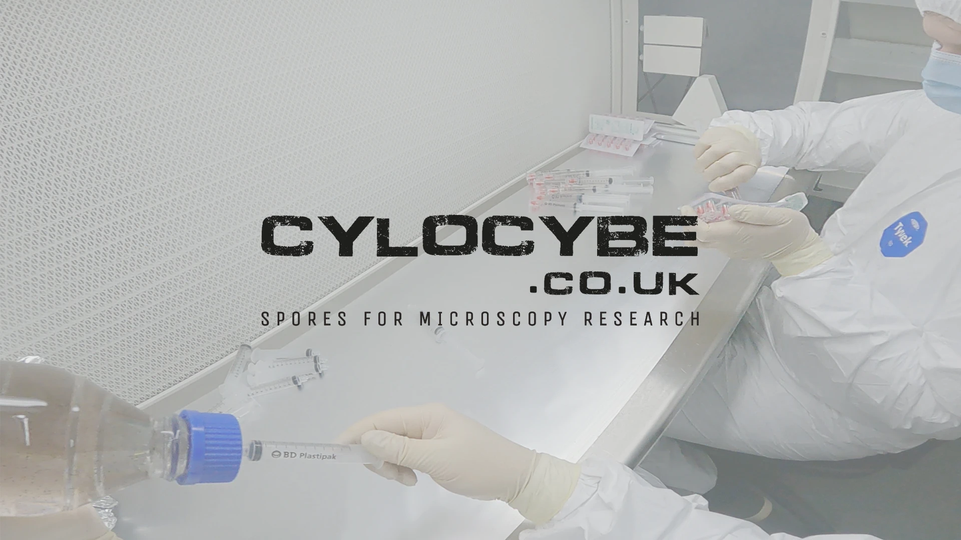 Magic Mushroom Spore Syringes - Image 3