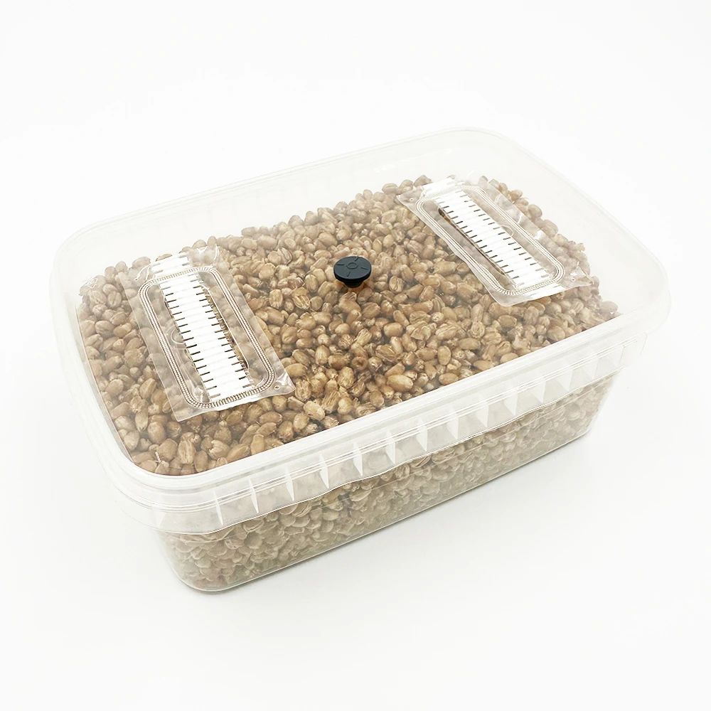 spawnbox filled with grain