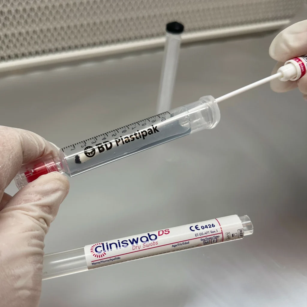 Attaching a swab to a syringe under a laminar flow hood, gloved hands working