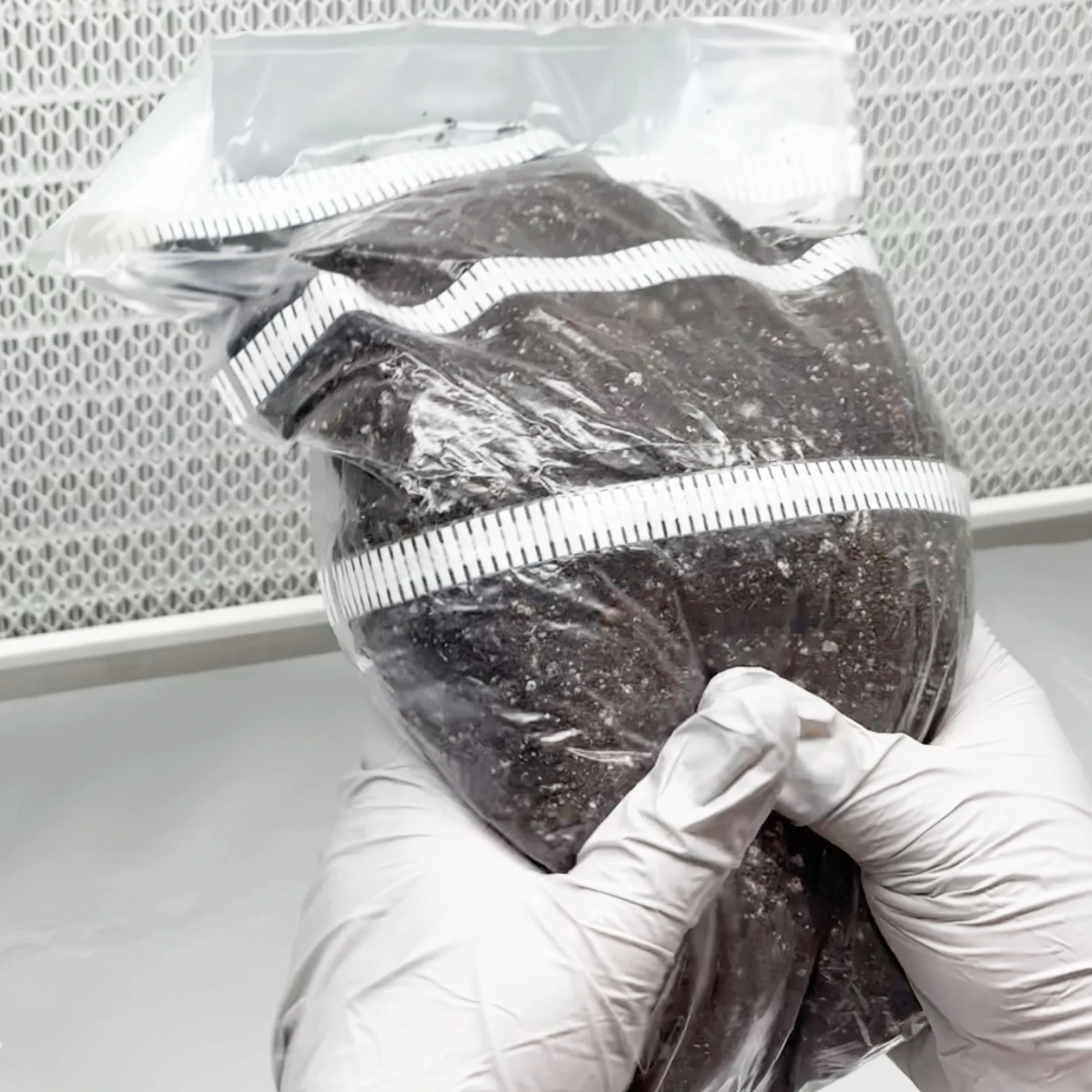 XXL MycMonster Grow Kit - Image 7