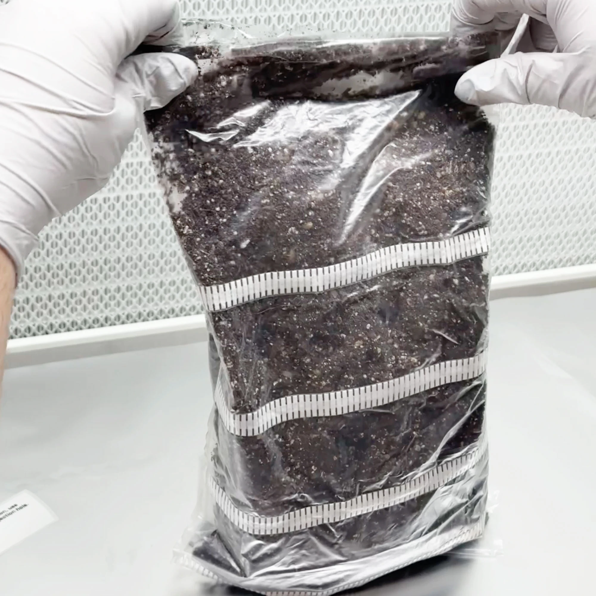XXL MycMonster Grow Kit - Image 8