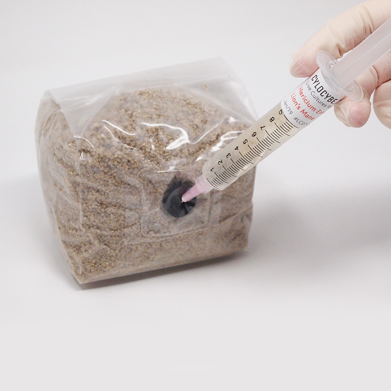 PF-Tek MycoBag™ Grow Kit