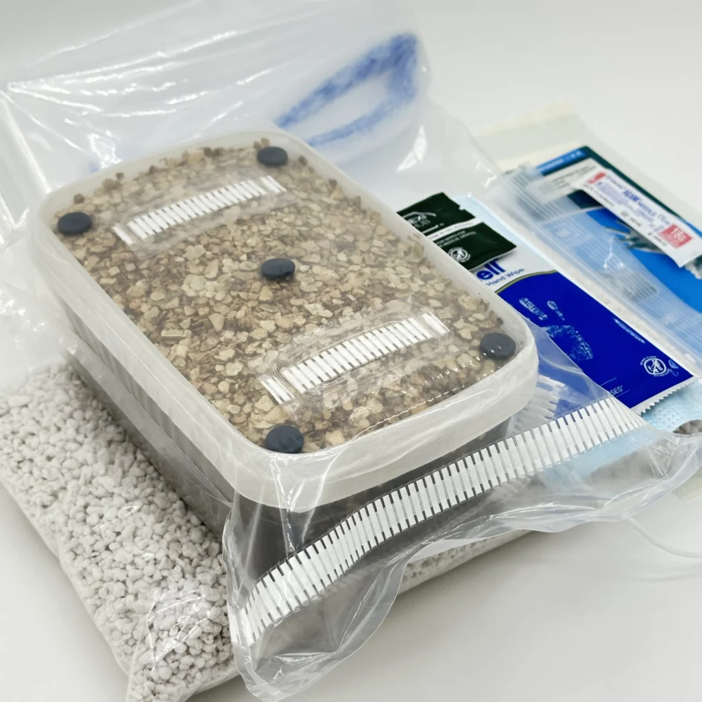 Cylocybe Special MykoBox Grow Kit: grow tub with filter strips and injection ports, perlite, grow tent and Hygiene Kit