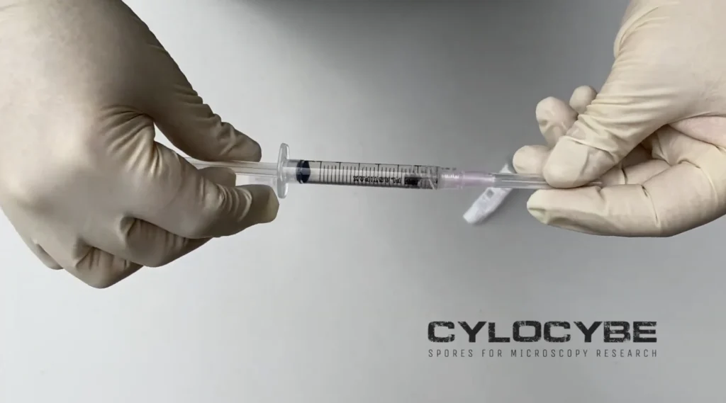 Gloved hands fitting a needle to a spore syringe, with the Cylocybe logo: spores for microscopy research