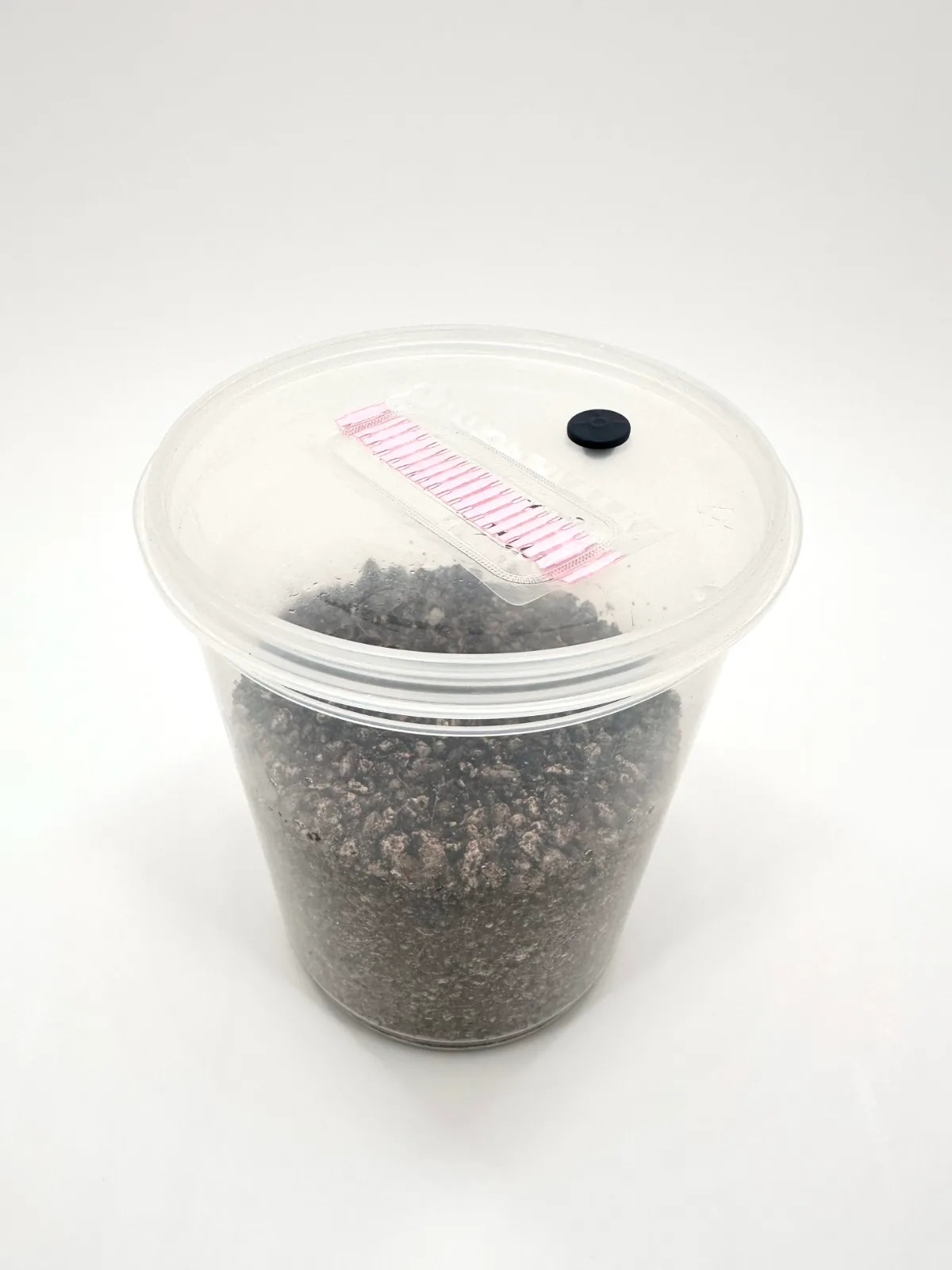 EZPZ MycMonster tub lid with its injection port and filter strip