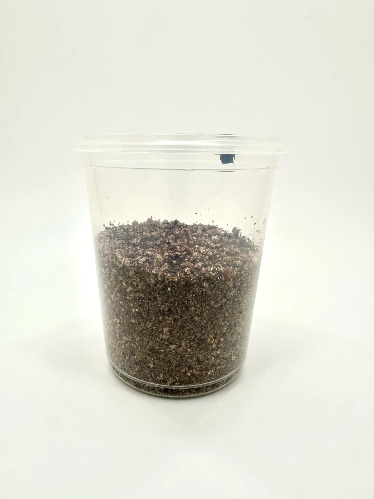 Open EZPZ MycMonster tub filled with substrate
