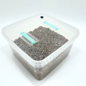 XXL MonoBox Grow Kit (2nd Gen)