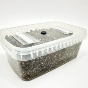 MycMonster Box grow kit: the sealed box with two filter strips and one injection port in the lid