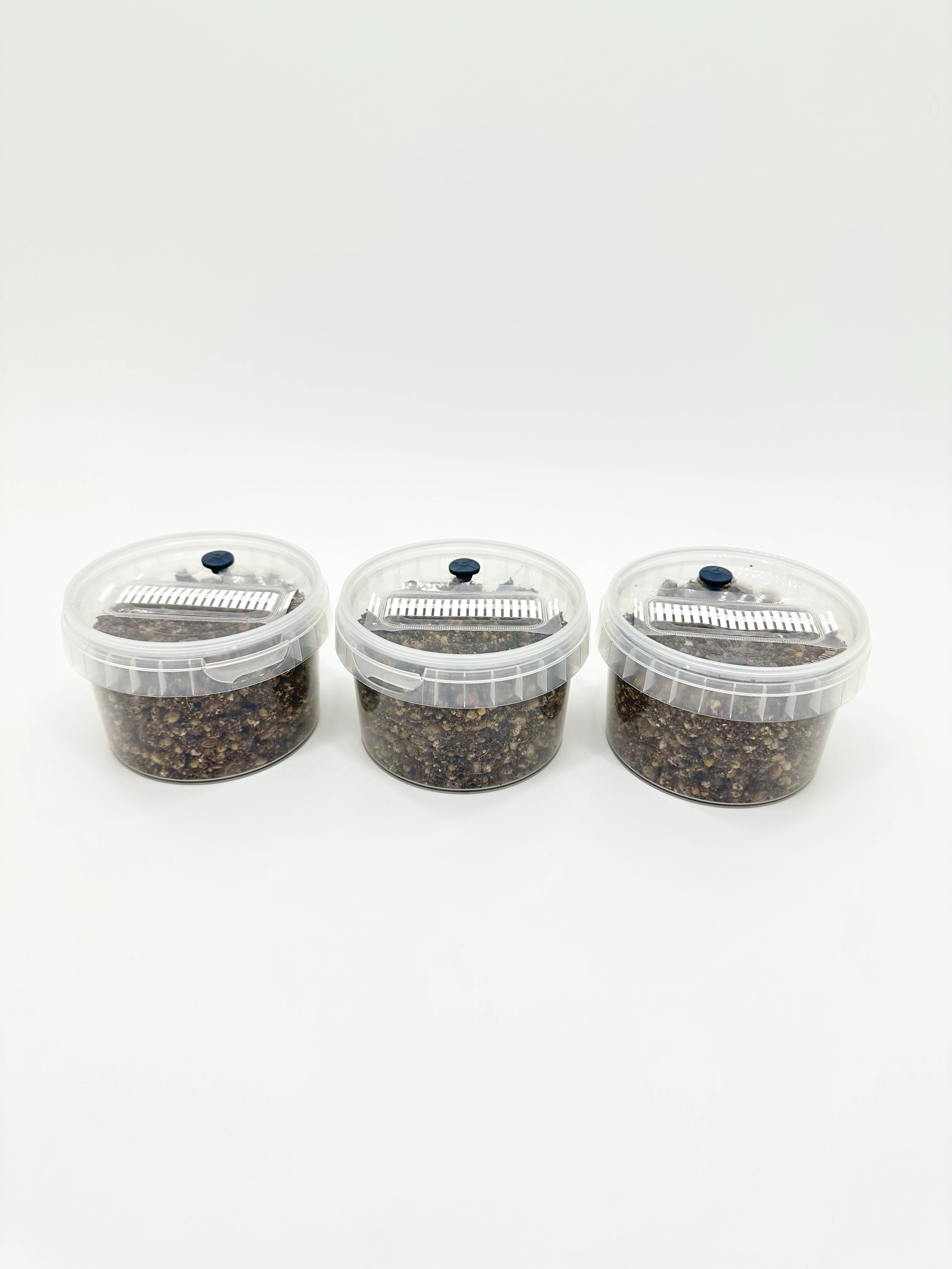 3 x MycMonster Pot Grow Kit