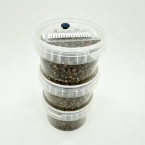 3 x MycMonster Pot Grow Kit