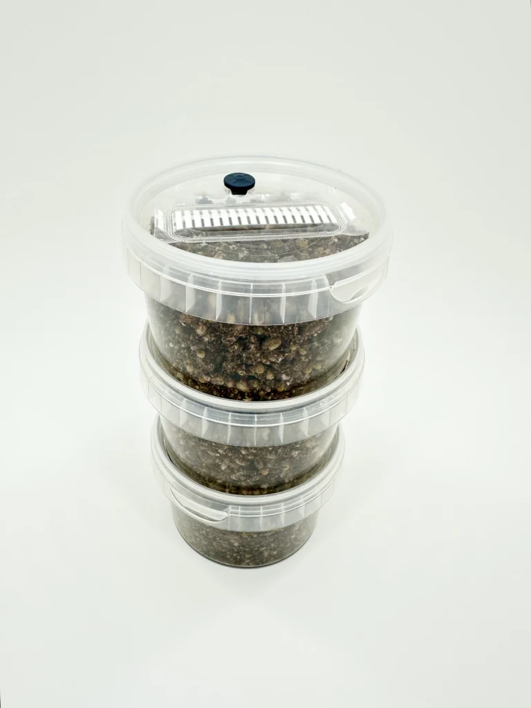 3 x MycMonster Pot Grow Kit