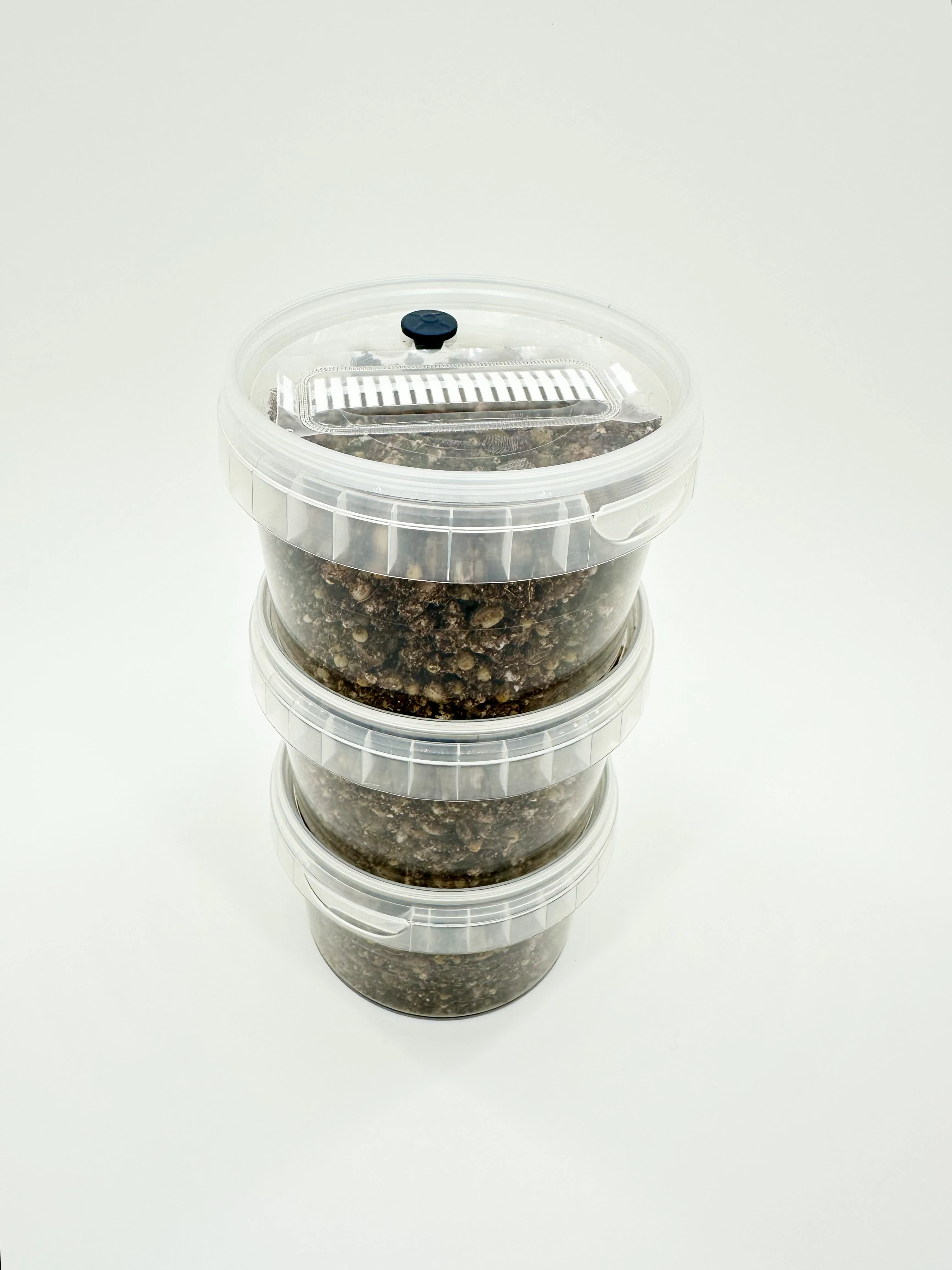 3 x MycMonster Pot Grow Kit